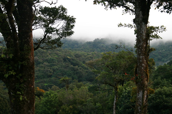 Tarzan en Jane in Costa Rica