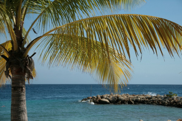 Meer dan alleen zon, zee en strand op Cura&ccedil;ao