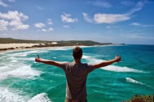 Activity International