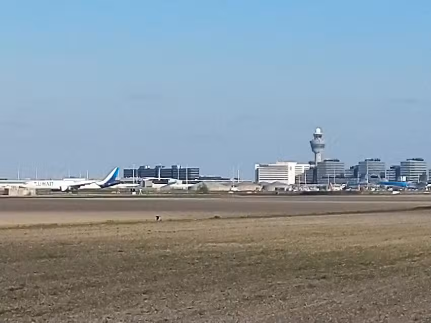 Alarco Tour en Travel