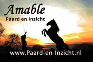 Amable, Paard en Inzicht