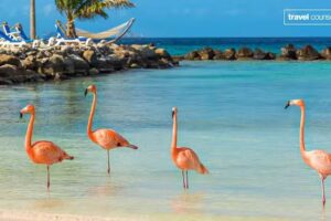 Anita Boudewijn l Travel Counsellors & Griekenlandspecialist