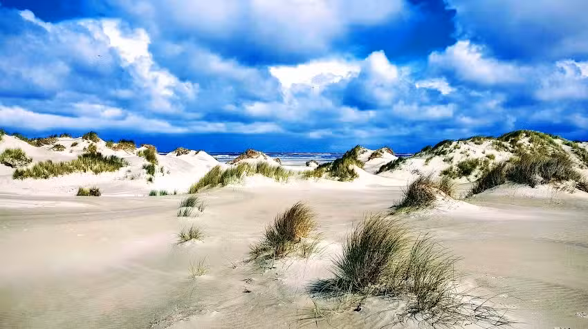 Annemiek Terschelling