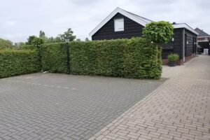 B&B Buutegeweun, bed and breakfast