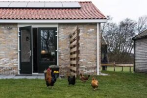 Barf Vakantiehuisjes Ameland