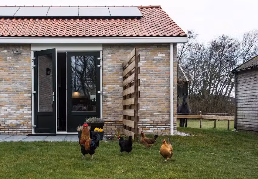 Barf Vakantiehuisjes Ameland