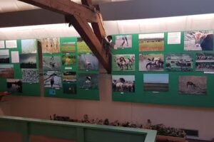 Bezoekerscentrum d’Oude Koestal