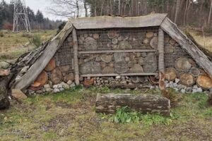 Bijen- en insectenhotel