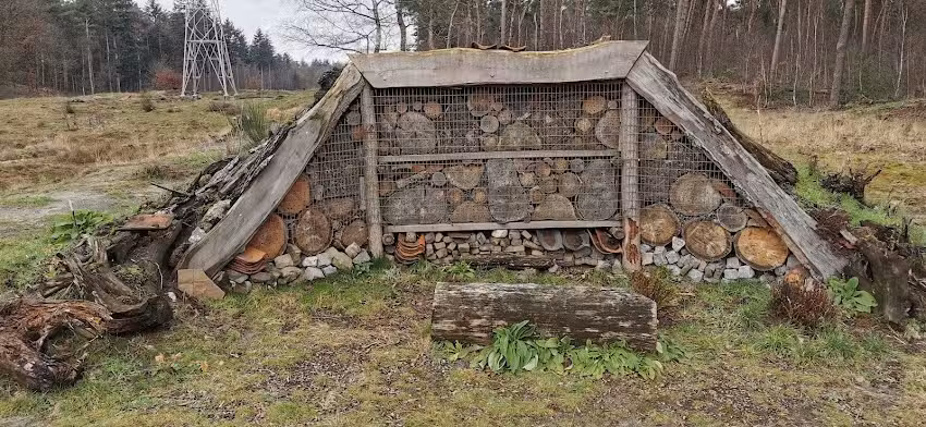 Bijen- en insectenhotel