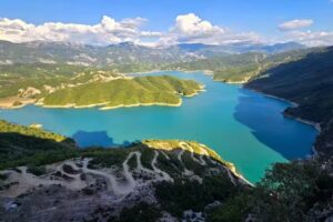 Bold Boundaries Survival