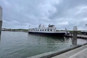 Boottocht Texel &ndash; Sop Speedy Speedboot Zeehondentochten