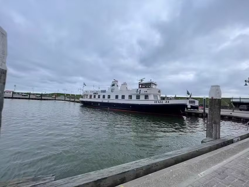 Boottocht Texel &ndash; Sop Speedy Speedboot Zeehondentochten