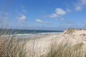 Boswachterij Westerschouwen