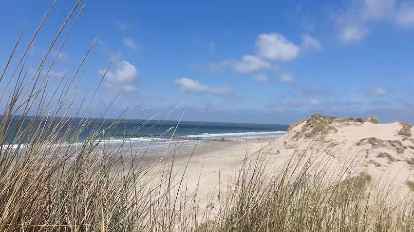 Boswachterij Westerschouwen