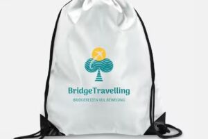 BridgeTravelling