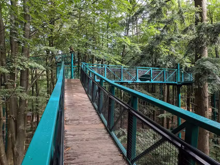 Buitencentrum Boomkroonpad