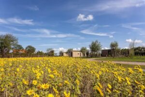 Buitenplaats Zeeuwse Liefde