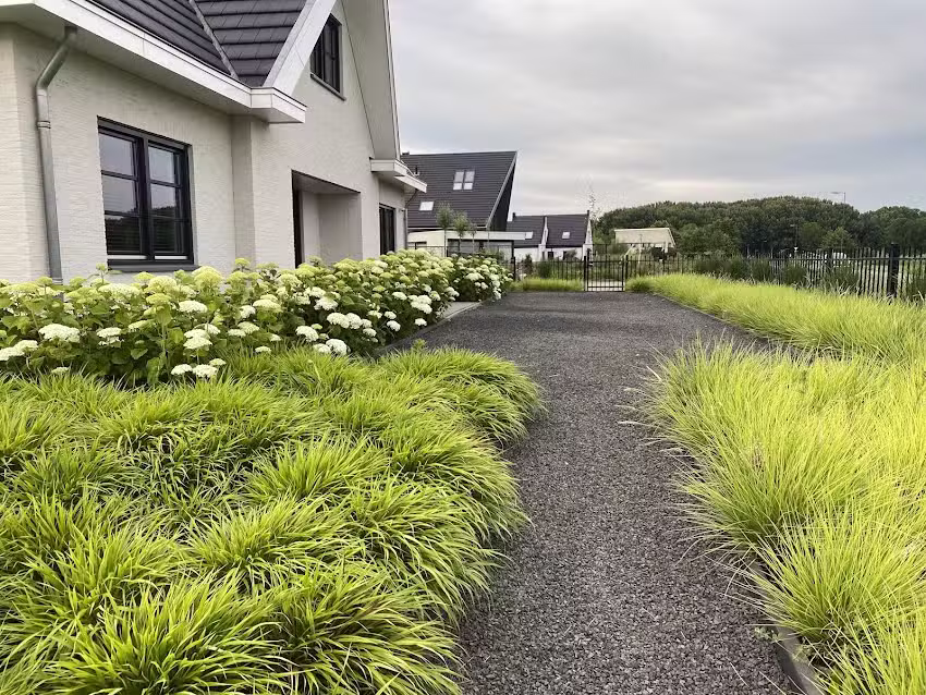 Bushalte Wolfsbossingel