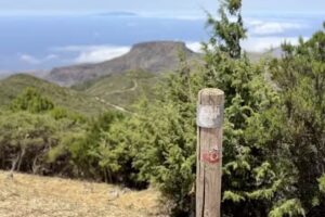 Canary Hiking