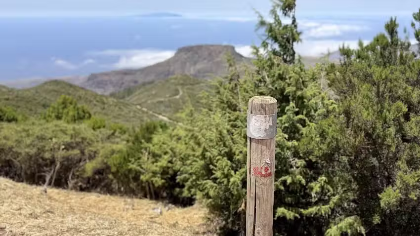 Canary Hiking