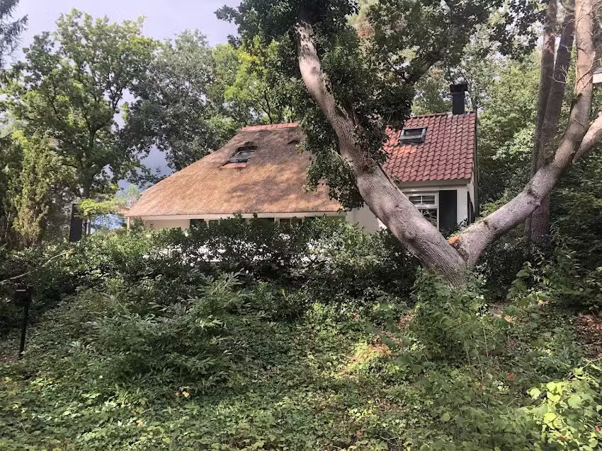 Cottage Uylenhorst