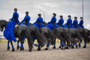 Dameszadelclub Fleurop