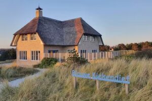 De Blauwe Kiekendief