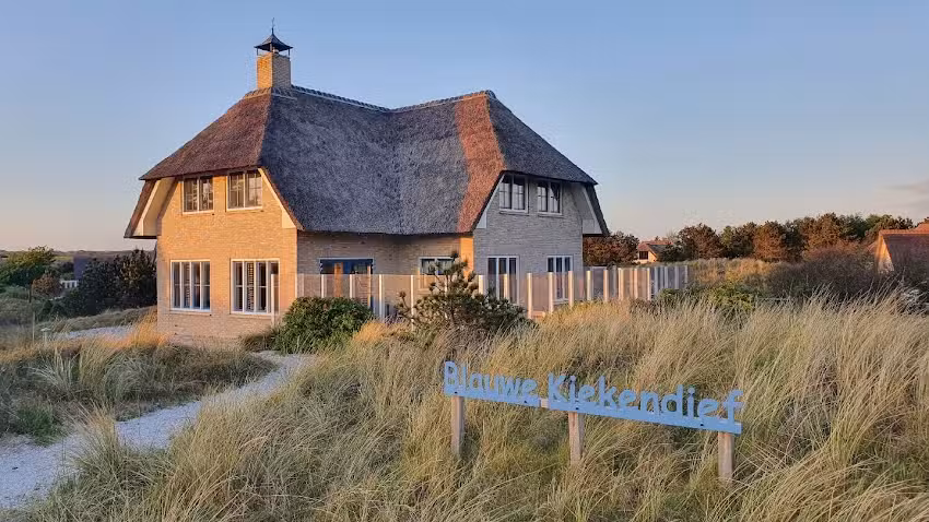 De Blauwe Kiekendief