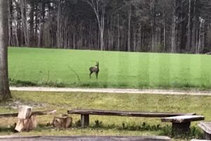 De Goede Ree Marwijksoord