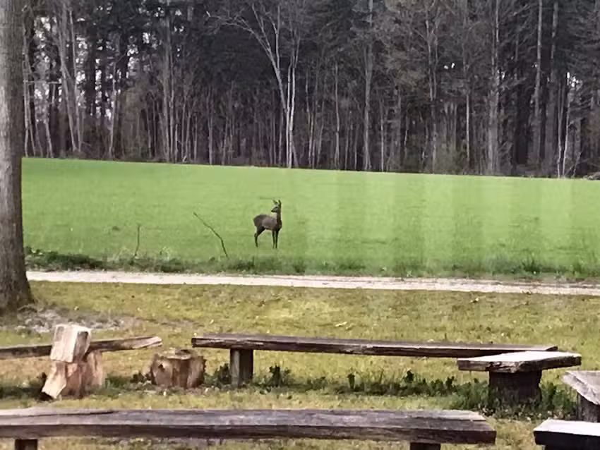 De Goede Ree Marwijksoord