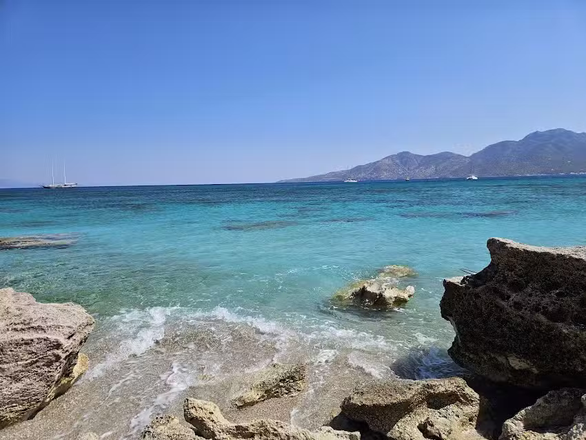 De Nederlandse Vloot