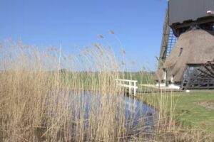 Donkse Laagten &ndash; Een ouderwetse Hollandse Polder