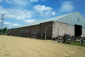 Dressuurstal Schellekens