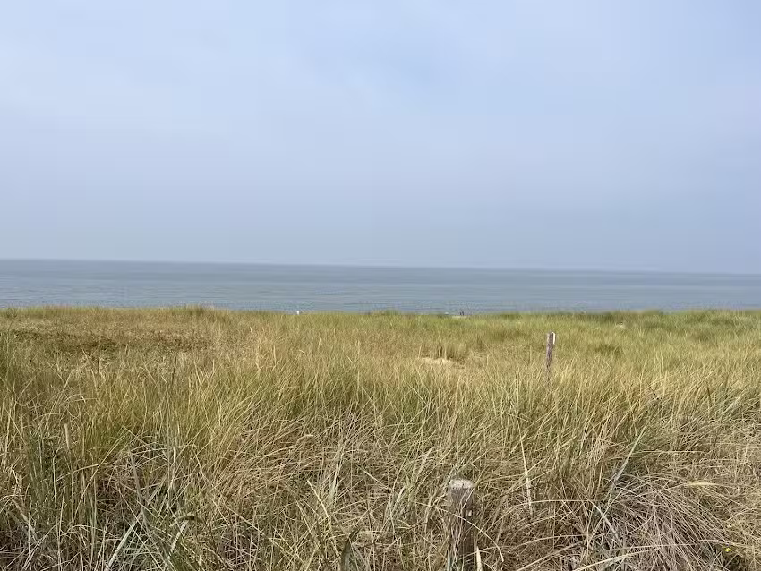 Dunecallantsoog