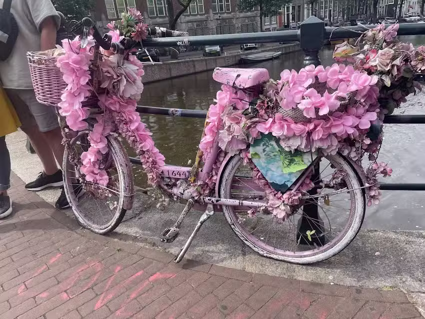 Dutch Food Tours