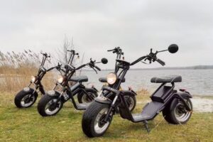 E-Chopper Overijssel