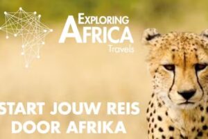Exploring Africa Travels
