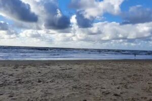 Ferienhaus Albatros 66