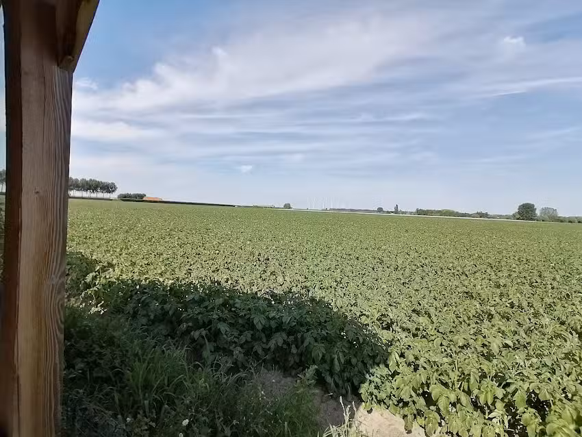 Ferienhaus Buurtweg 201