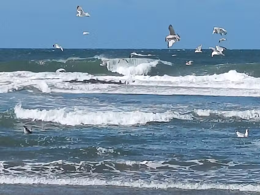 Ferienhaus N&ouml;lle (Sonnenschein)