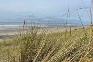 Ferienwohnung Nordholland &ndash; Familie K&auml;ufer