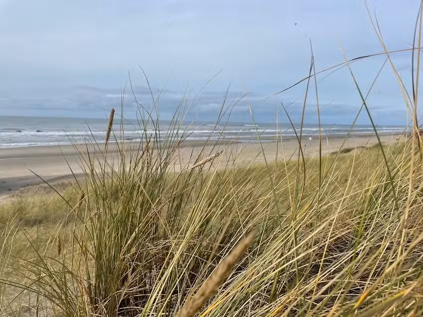 Ferienwohnung Nordholland &ndash; Familie K&auml;ufer