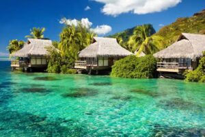 Frank Moester ReisCreaties