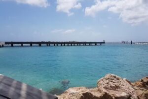 Free2Fly Vacation Incentives