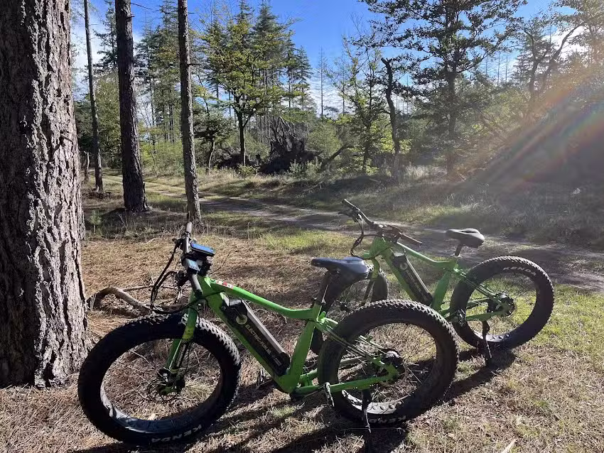 Green Valley Electric Fun