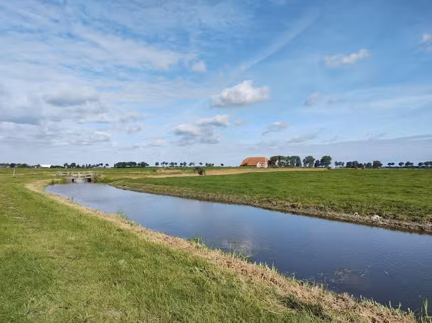 Harssensbosch | Het Groninger Landschap