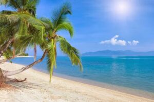 Highdeal Happy Holidays