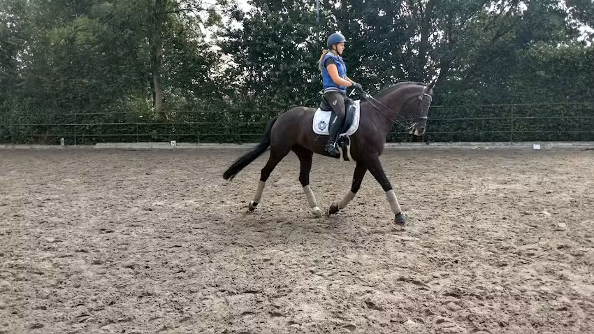 Hippisch Centrum Bosscherhof