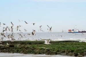 Holland boven Amsterdam