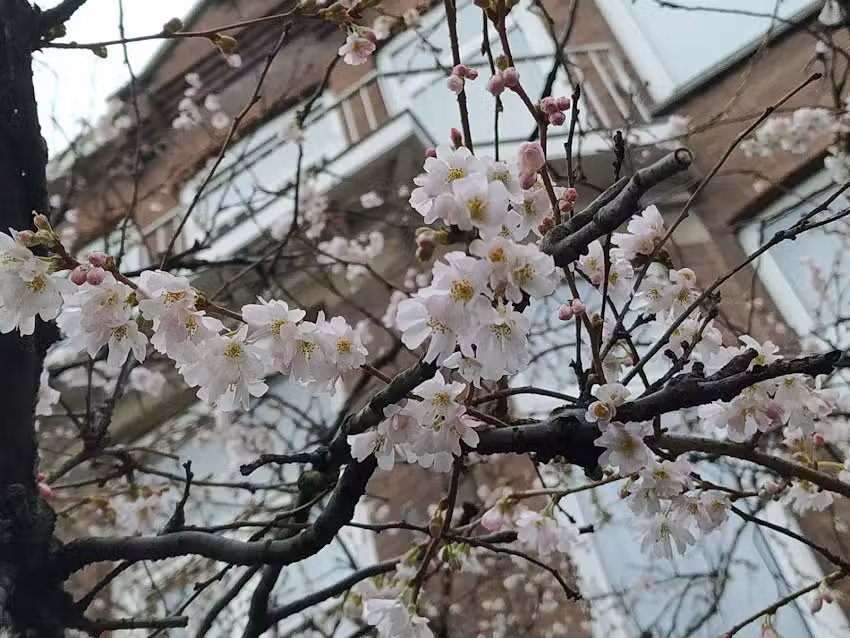 Hongaars Verkeersbureau
